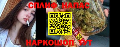 гидропоника Апрелевка