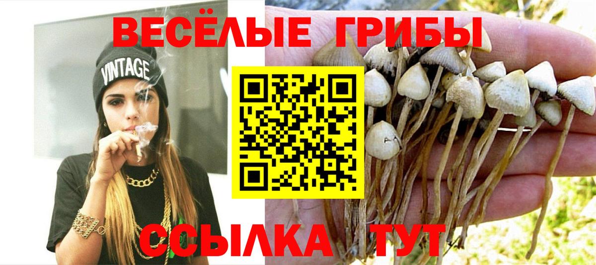 Барнаул  Галлюциногенные грибы Magic Shrooms  Вход с VPN 